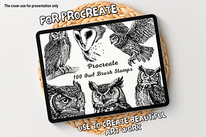 100 Owl Procreate Stamps