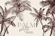 Tropical palm sketch, a Decorative Illustration by Jeanna Draw (Thumbnail 1 of 7)
