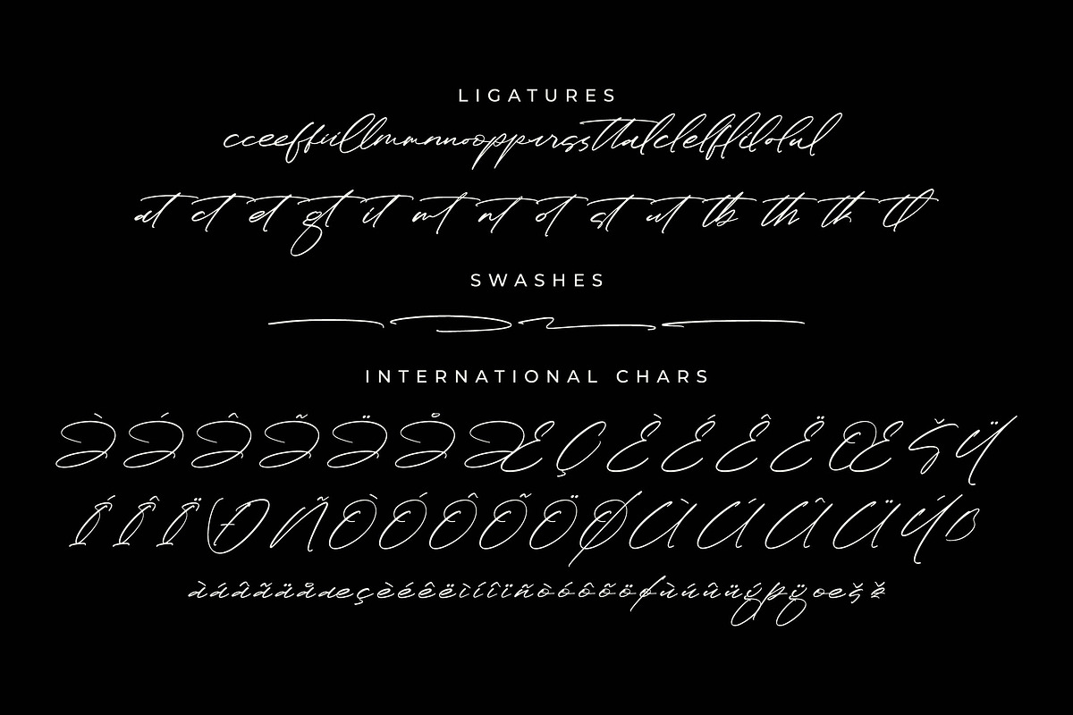 Paradise Stonelife Modern Signature, a Script Font by Letterena Studios Script (Photo 14 of 15)
