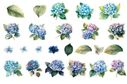 Blue flower. Watercolor clipart, a Decorative Illustration by ElenazlataArt (Thumbnail 3 of 16)