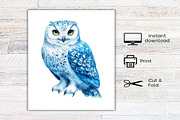Christmas Polar Lights Clipart, an Illustration by Canvas Craft (Thumbnail 7 of 7)