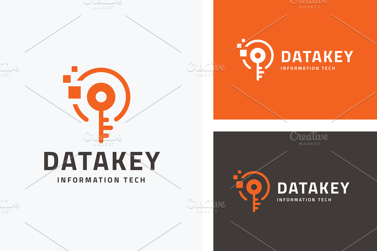 Digital Data Key Logo, a Branding & Logo Template by Design_Planet (Photo 1 of 3)