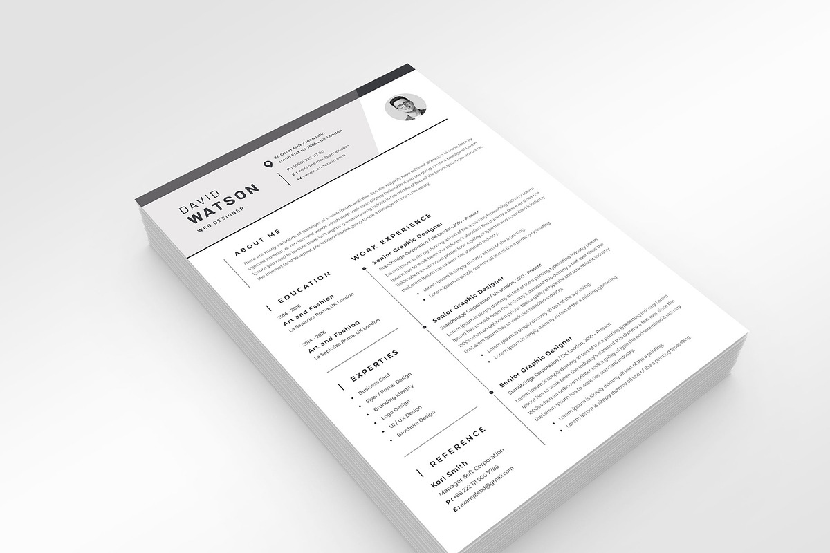 Resume Template, a Resume Template by PicoartBd (Photo 3 of 4)