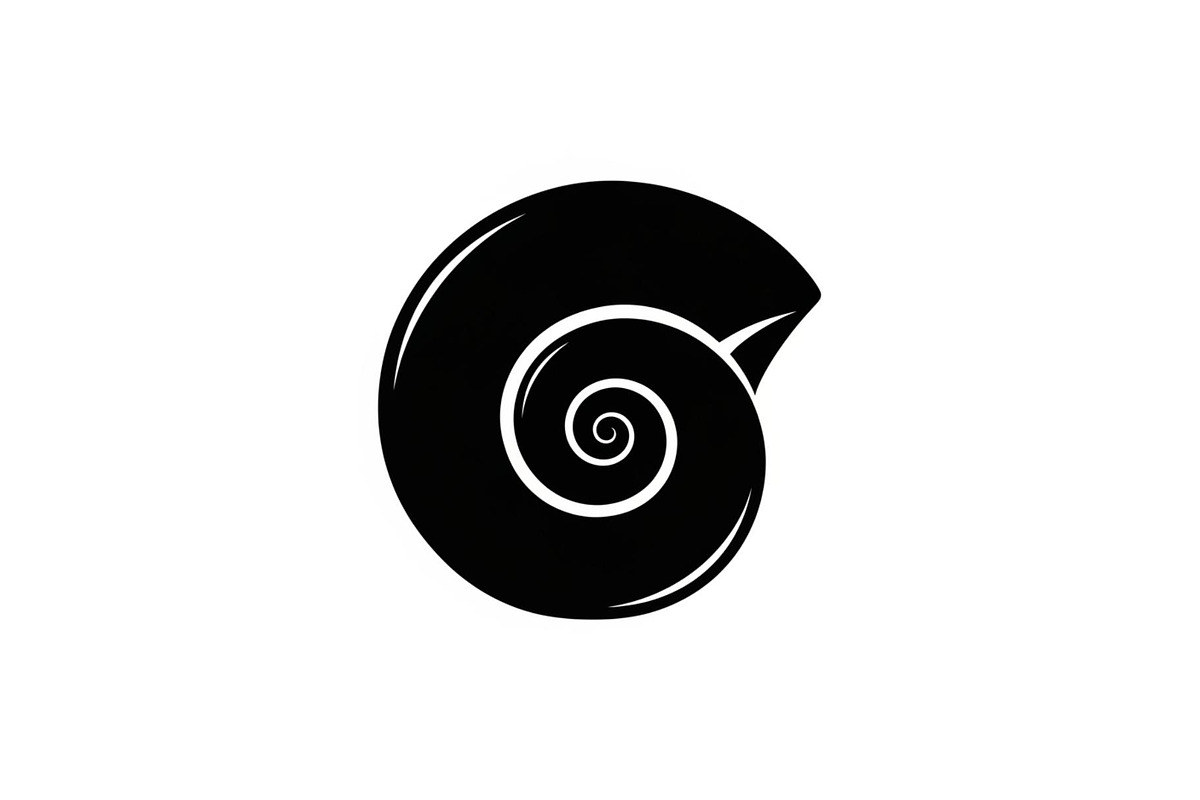 Spiral Seashell SVG Bundle, an Illustration by Gaye Art (Photo 5 of 31)