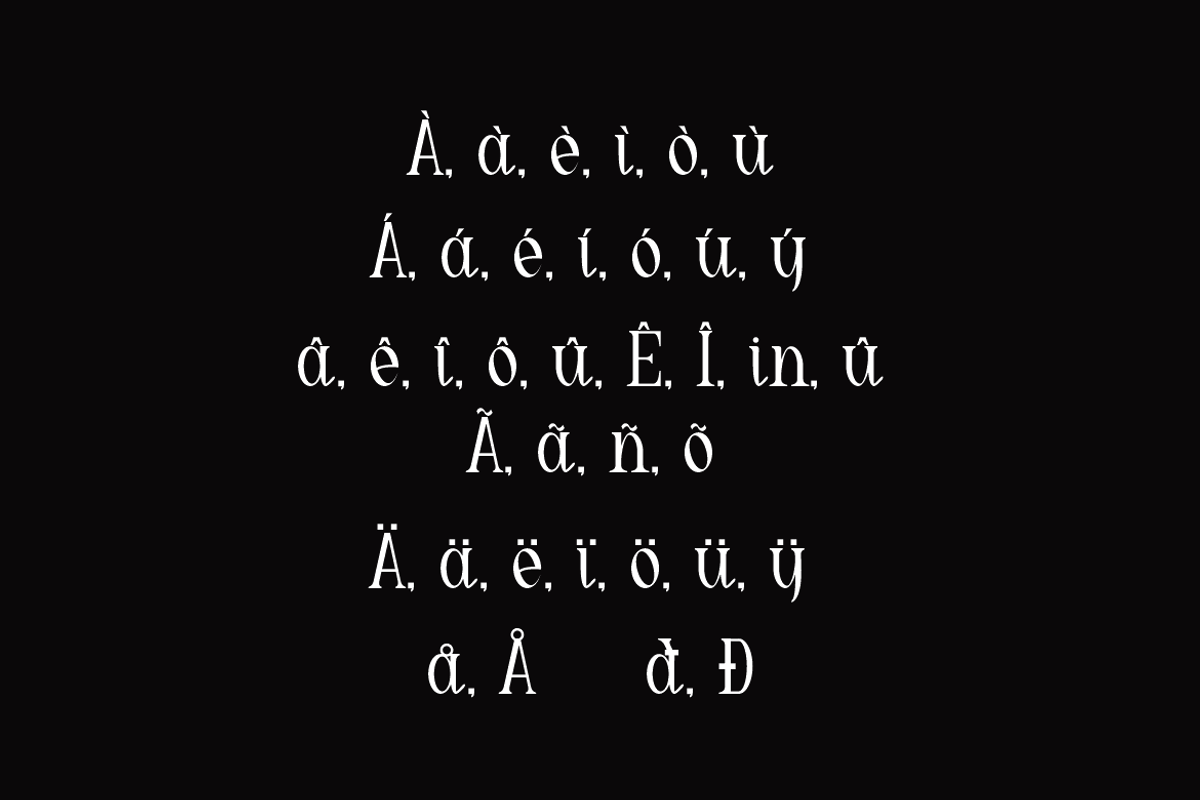 Nedogta - Modern Aesthetic Font, a Serif Font by QR Design Studio (Photo 10 of 13)