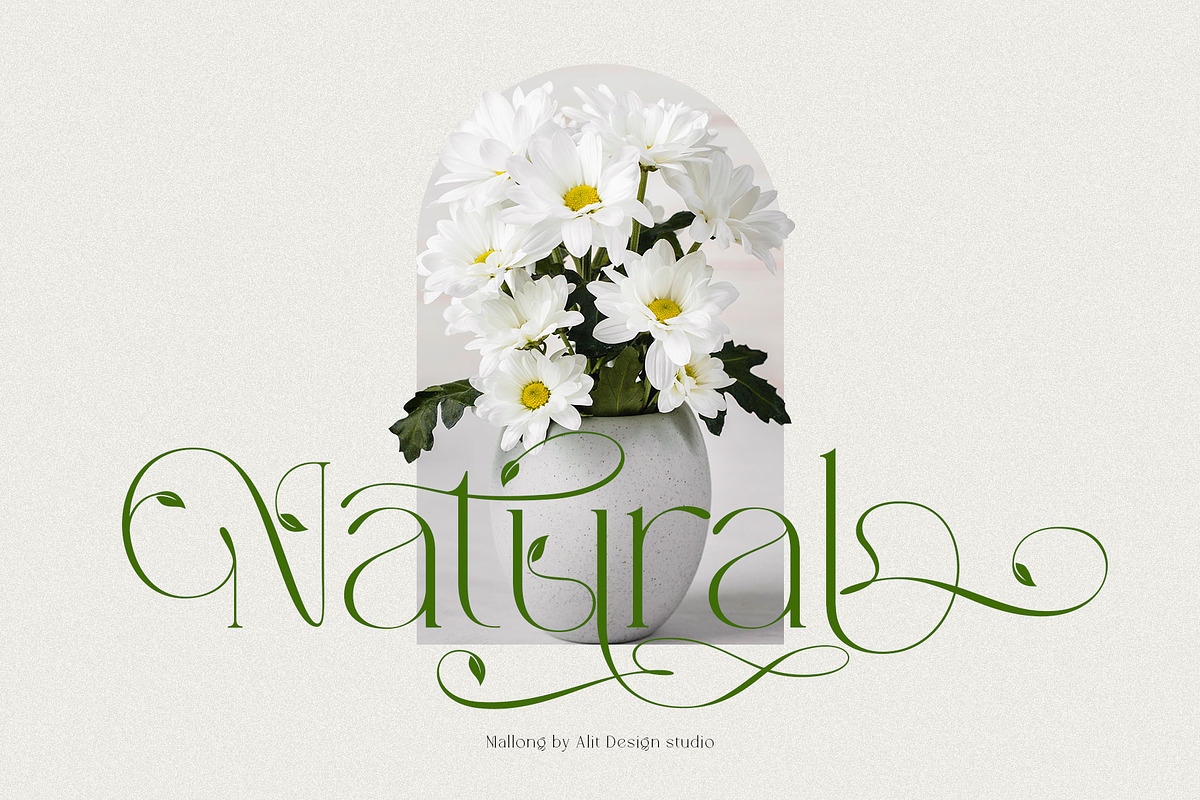 Mallong Typeface, a Serif Font by alit design (Photo 4 of 17)
