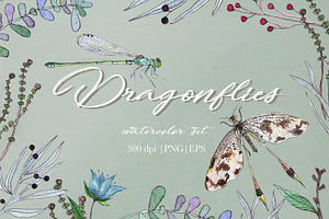 DRAGONFLIES. Watercolor clipart