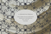 Garden Within: Vintage Floral Papers, a Texture Graphic by alonahaidash (Thumbnail 18 of 27)