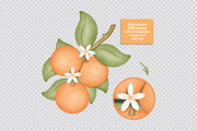 Sweet Orange - Cliparts Set, an Illustration by Estudio Daiane Barbosa (Thumbnail 6 of 8)