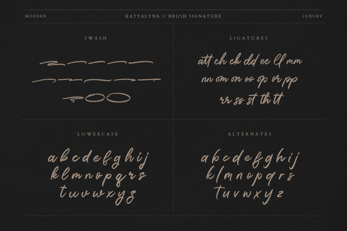 Kattalyna Brush Signature, a Script Font by Creatype Studio (Photo 9 of 9)