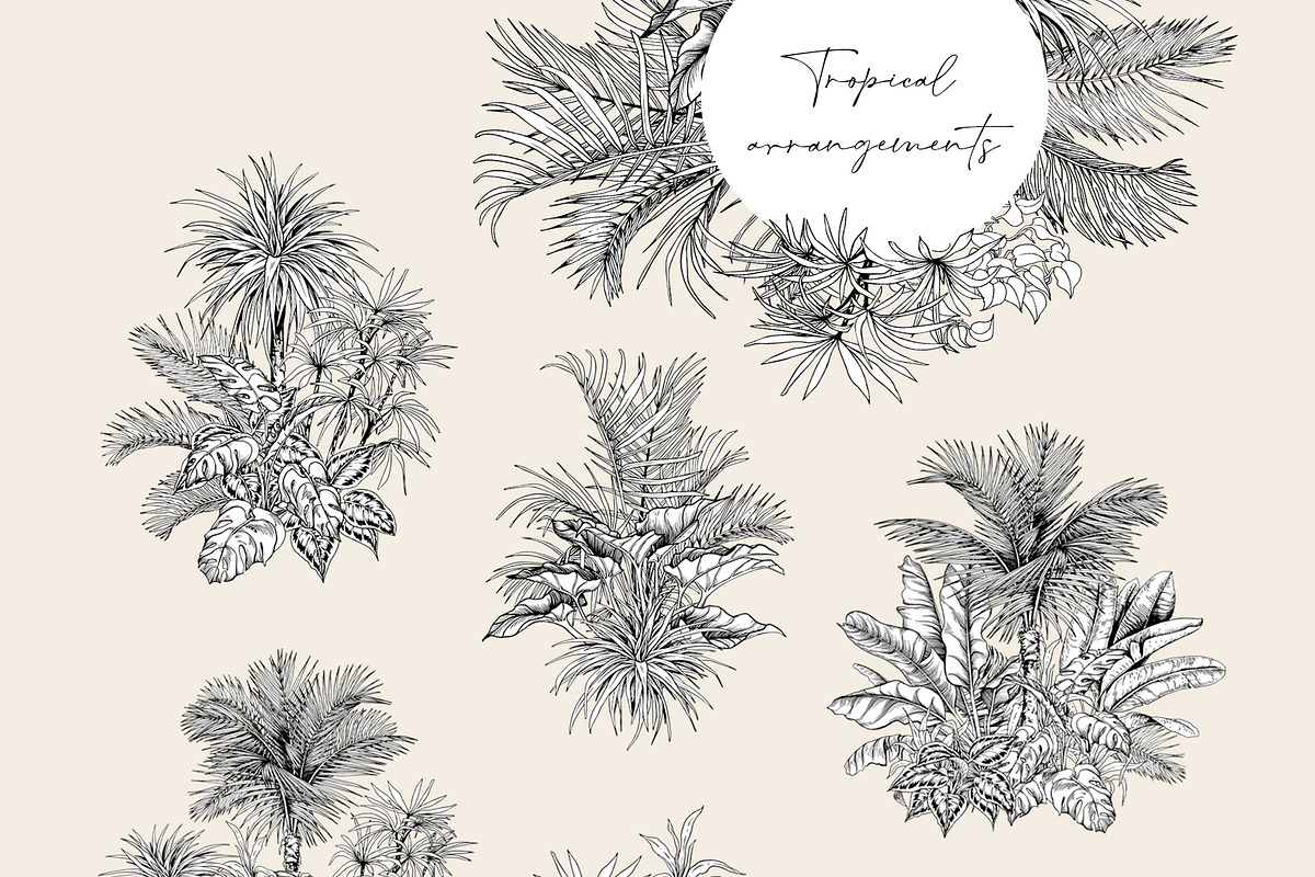 Tropical black& white plants, a Decorative Illustration by Jeanna Draw (Photo 8 of 17)