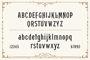 Glenfield - A Vintage Typeface, a Serif Font by Jordan Wilson (Thumbnail 2 of 12)
