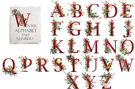 Winter Alphabet and Numbers
