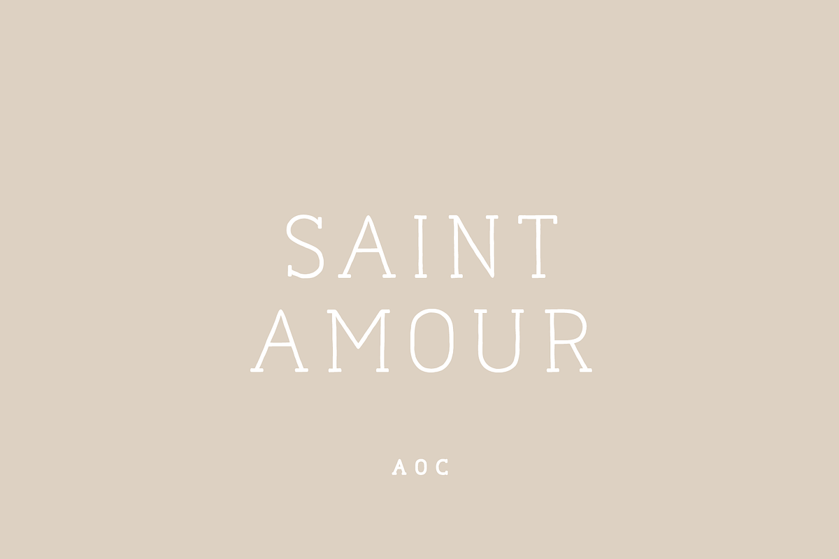 Naive Line Font Collection, a Serif Font by S&C Type (Photo 6 of 10)