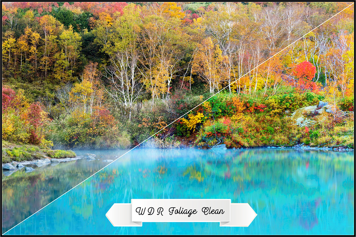 Wide Dynamic Range - Foliage preview 2