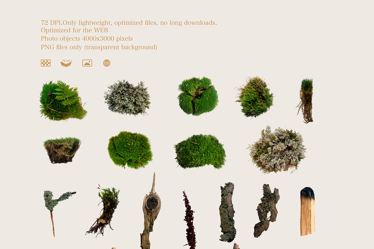 Magic collage. Scene Creator Mockup, a Product Mockup by Aleksandra Slowik
