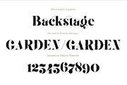 Gaze Pro, a Serif Font by Anthony James (Thumbnail 7 of 9)