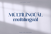 Calgary | New Stylish Serif Font, a Serif Font by Pentagonistudio (Thumbnail 15 of 20)