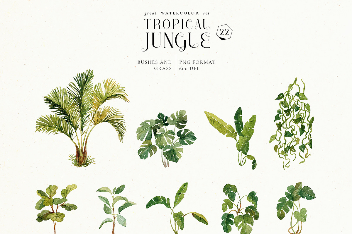 Tropical jungle - watercolor set, a Decorative Illustration by Pamyatka Shop (Photo 19 of 27)