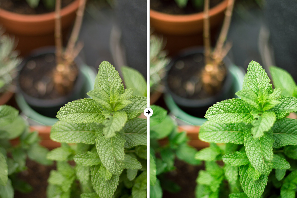 9 Nature Lightroom Presets, an Action Add-On by M E G A S E T S (Photo 2 of 5)