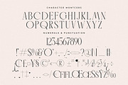 Montcers A Modern Serif Font, a Serif Font by Storytype Studio (Thumbnail 13 of 15)