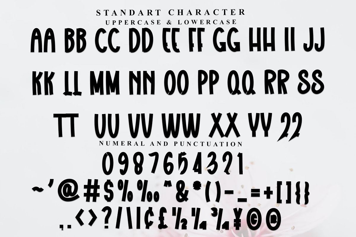 Designs, a Script Font by FreshTypeINK (Photo 4 of 7)