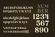 Luna Bloom - Classic Retro Vintage, a Serif Font by Annivers Type (Thumbnail 7 of 10)