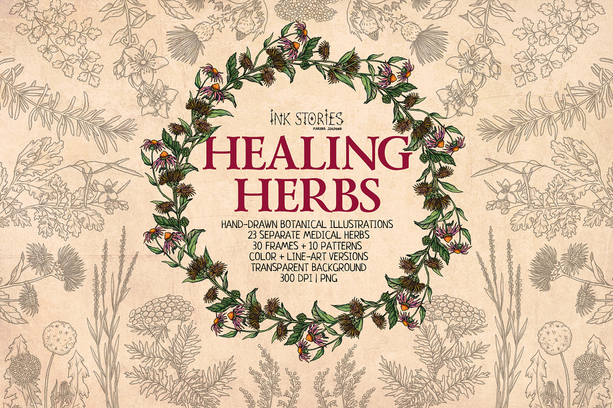 Healing Herbs * Botanical Bundle, a Healthcare Illustration by Ink Stories (Photo 1 of 13)
