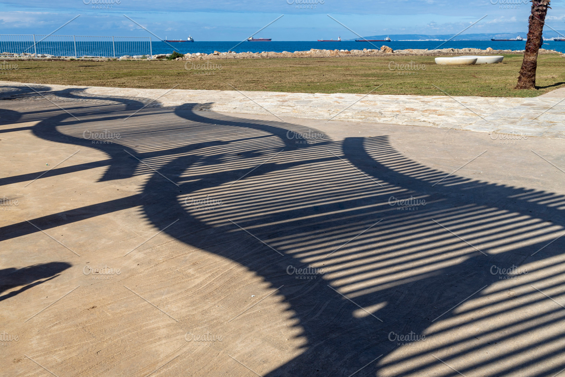 Shadow from the canopies, a Nature Photo by Imaginarium