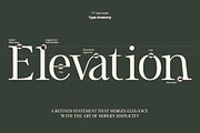 TT Vermolin — Modern Classy Serif, a Serif Font by truetype (Thumbnail 10 of 15)