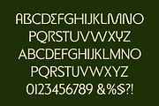 ED Micona - Display Serif Font, a Serif Font by Emyself Design (Thumbnail 3 of 12)