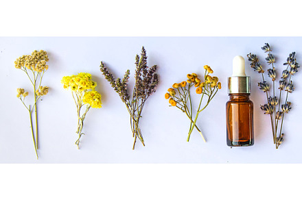 Medicinal herbal extract in a bottle, a Nature Photo by yanadjana