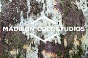 50 Rusty Metal Textures - Vol 2, a Texture Graphic by Madison Colt Studios (Thumbnail 3 of 51)