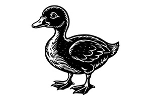 Baby duck, an Illustration by Mark1987