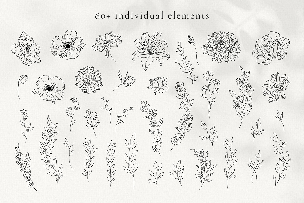 Minimalist Line Art Flowers, a Decorative Illustration by La Petite Line Art (Photo 3 of 13)