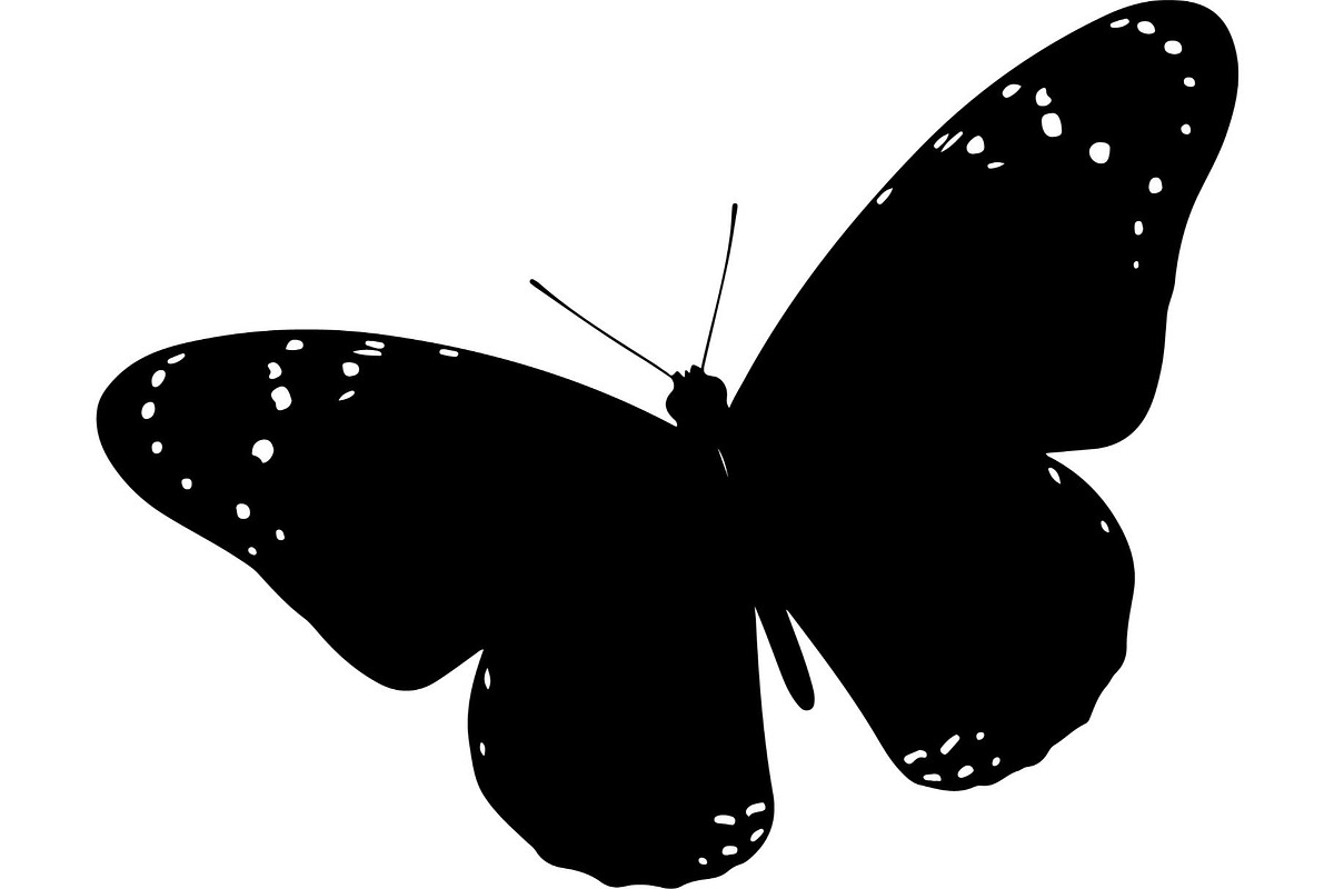 Butterfly Silhouette Bundle, an Object Graphic by Designer_Momina (Photo 3 of 20)