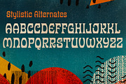 Allotropic | Expressive Retro Family, a Font by The Flying Type (Thumbnail 3 of 12)