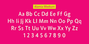 Alamia, a Sans Serif Font by Ani Dimitrova (Thumbnail 8 of 12)