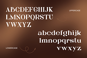 Bagku Fashion - Luxury Modern Font, a Serif Font by Illushvara Design (Thumbnail 3 of 12)