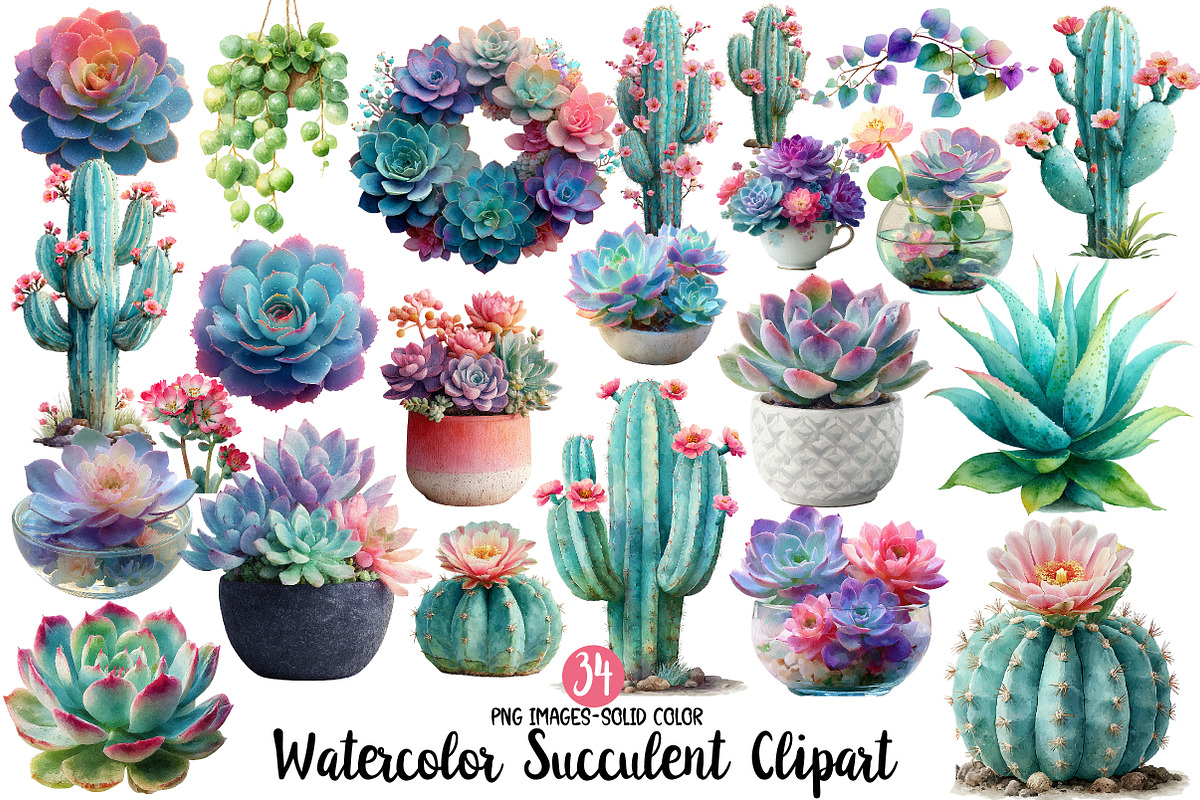 Watercolor Succulent Clipart, an Illustration by Designworld (Photo 1 of 4)