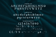 Bahgian Serif Fonts, a Serif Font by mahstudios (Thumbnail 11 of 14)