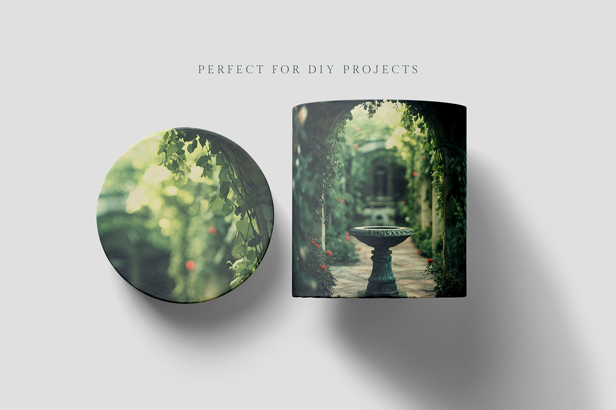 The Secret Garden, a Nature Photo by Picturesque Stories (Photo 4 of 7)