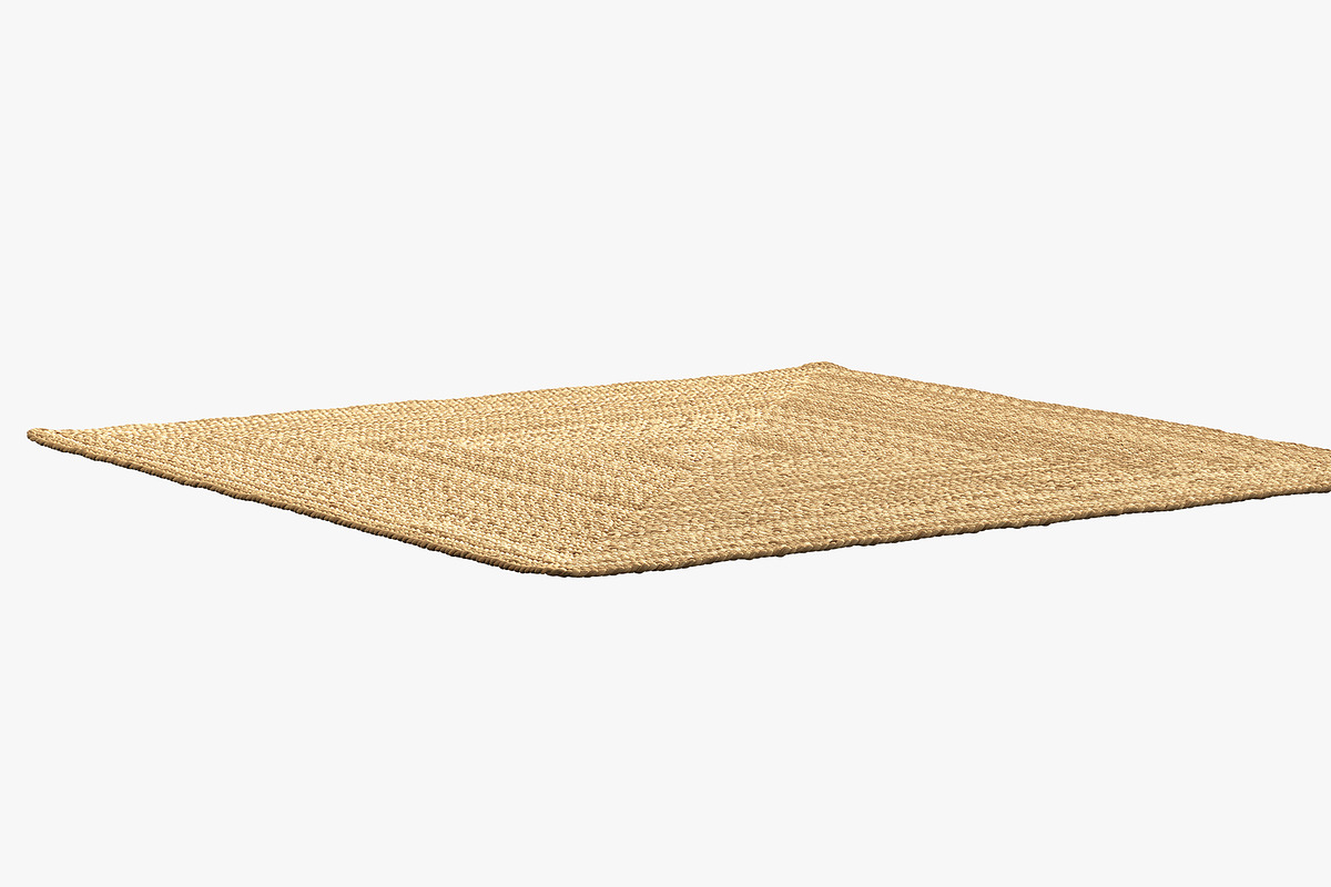 Dina Coastal Jute Rug Square, a Furniture 3D Model by 3dmitruk (Photo 6 of 15)