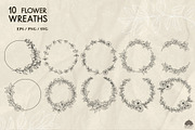 Botany Line Art Collection, a Decorative Illustration by Skliarova (Thumbnail 8 of 10)