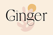 Ginger - Geometric Serif, a Serif Font by Tropical Type (Thumbnail 1 of 7)