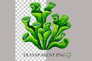 Sea Toile Clipart and Patterns, a Decorative Illustration by Nicole Branger Art (Thumbnail 5 of 28)