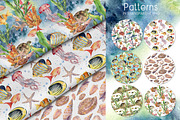Underwater ocean watercolor clipart, an Animal Illustration by Yuliya Derbisheva (Thumbnail 8 of 10)
