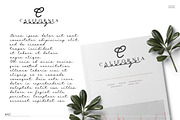 Britania Letter Signature Script, a Script Font by Runsell Studio (Thumbnail 4 of 12)