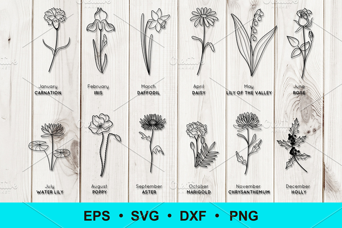 Birth Flowers Clip Art | Vector File, a Decorative Illustration by Elena Nesterova (Photo 1 of 4)
