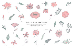 Clip art with blush pink flowers